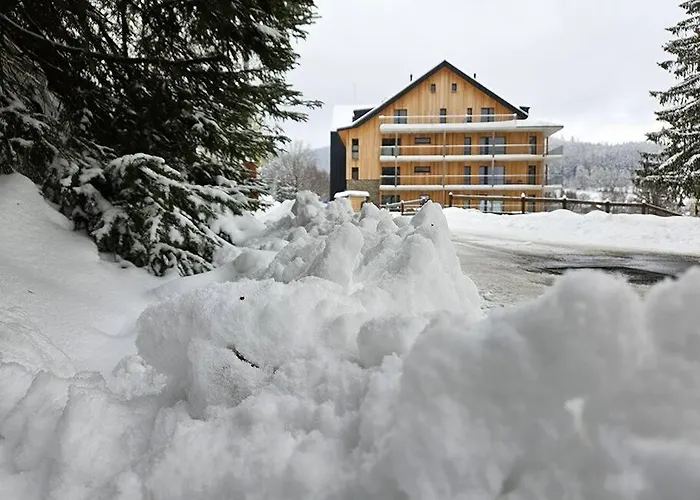 Boutique 4 * Janské Lázně